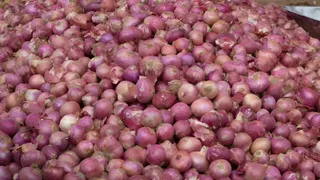 Lucknow Onion Price: ₹35 किलो मिलेगा प्याज, NCCF लगाएगा 20 स्टॉल